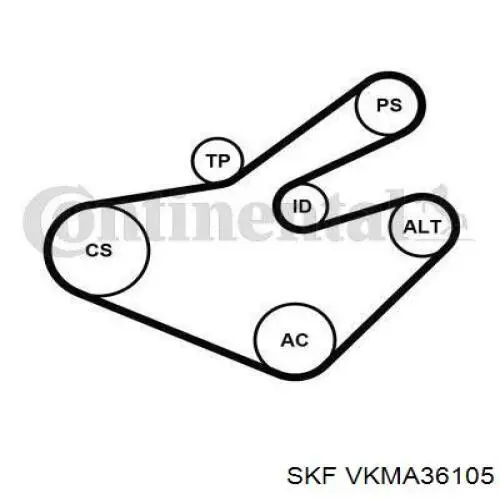 Compre VKMA36105 SKF Correia dos conjuntos de transmissão, kit