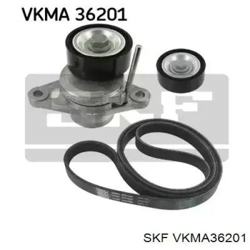 VKMA36201 SKF Correia dos conjuntos de transmissão, kit