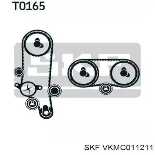 Compre VKMC011211 SKF Correia do mecanismo de distribuição de gás, kit