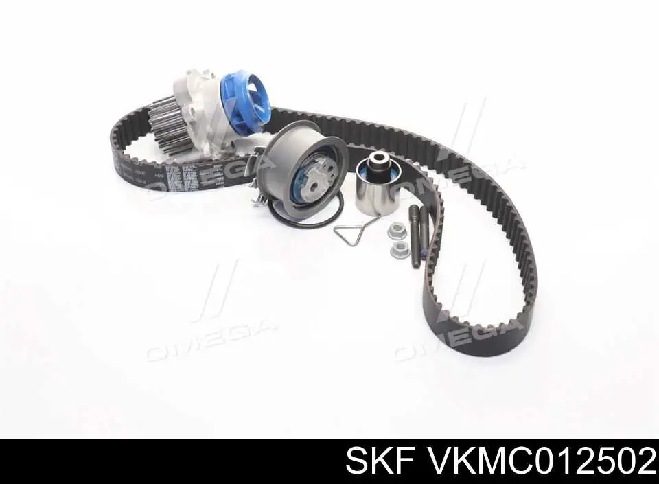 Compre VKMC012502 SKF Correia do mecanismo de distribuição de gás, kit