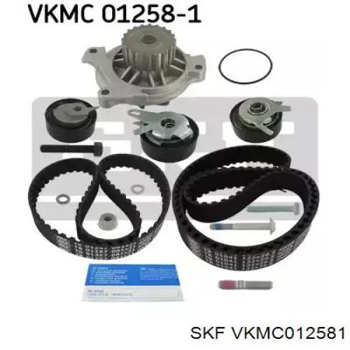 Compre VKMC012581 SKF Correia do mecanismo de distribuição de gás, kit