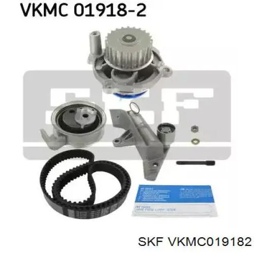 Compre VKMC019182 SKF Correia do mecanismo de distribuição de gás, kit