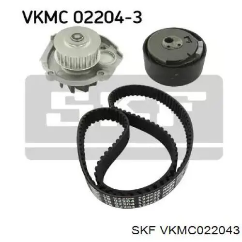 Compre VKMC022043 SKF Correia do mecanismo de distribuição de gás, kit