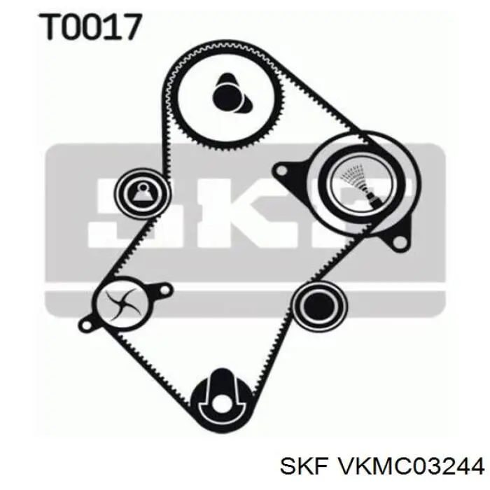 Compre VKMC03244 SKF Correia do mecanismo de distribuição de gás, kit