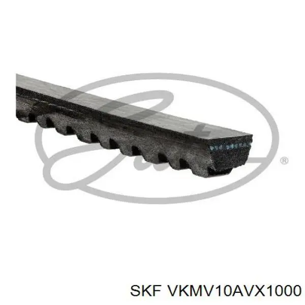 Compre VKMV10AVX1000 SKF Correia dos conjuntos de transmissão