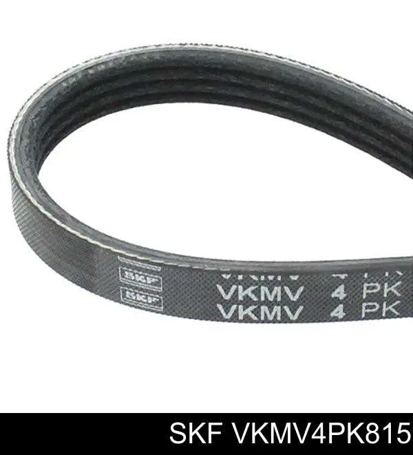 VKMV4PK815 SKF Correia dos conjuntos de transmissão