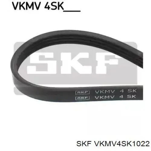 VKMV4SK1022 SKF Correia dos conjuntos de transmissão