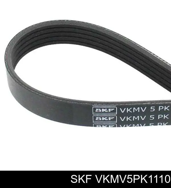 VKMV5PK1110 SKF Correia dos conjuntos de transmissão
