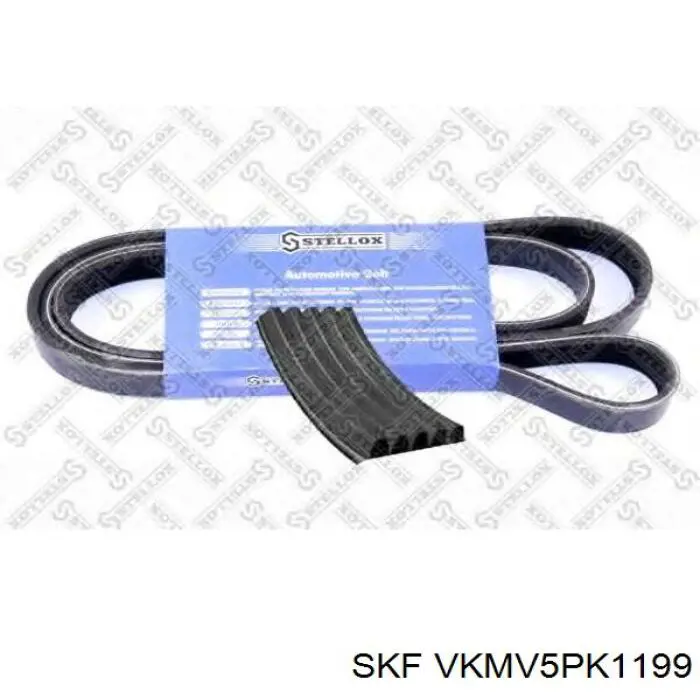 Compre VKMV5PK1199 SKF Correia dos conjuntos de transmissão