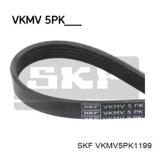 VKMV5PK1199 SKF Correia dos conjuntos de transmissão