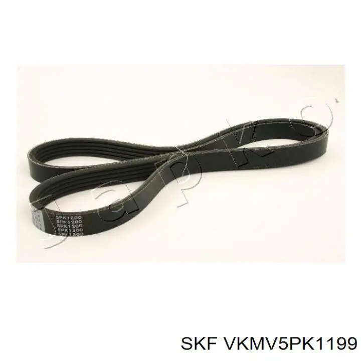 Correia dos conjuntos de transmissão SKF VKMV5PK1199 preço, a partir de 15,18 USD