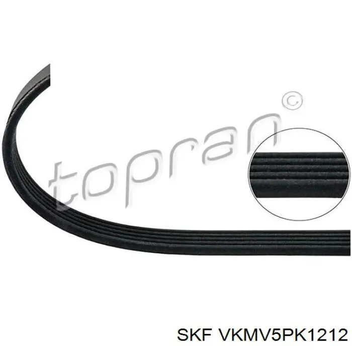 Compre VKMV5PK1212 SKF Correia dos conjuntos de transmissão