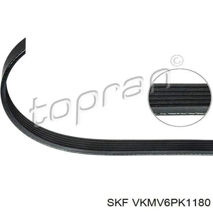 Compre VKMV6PK1180 SKF Correia dos conjuntos de transmissão