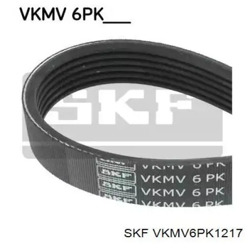 VKMV6PK1217 SKF Correia dos conjuntos de transmissão