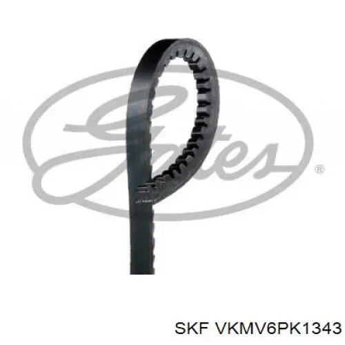 Compre VKMV6PK1343 SKF Correia dos conjuntos de transmissão