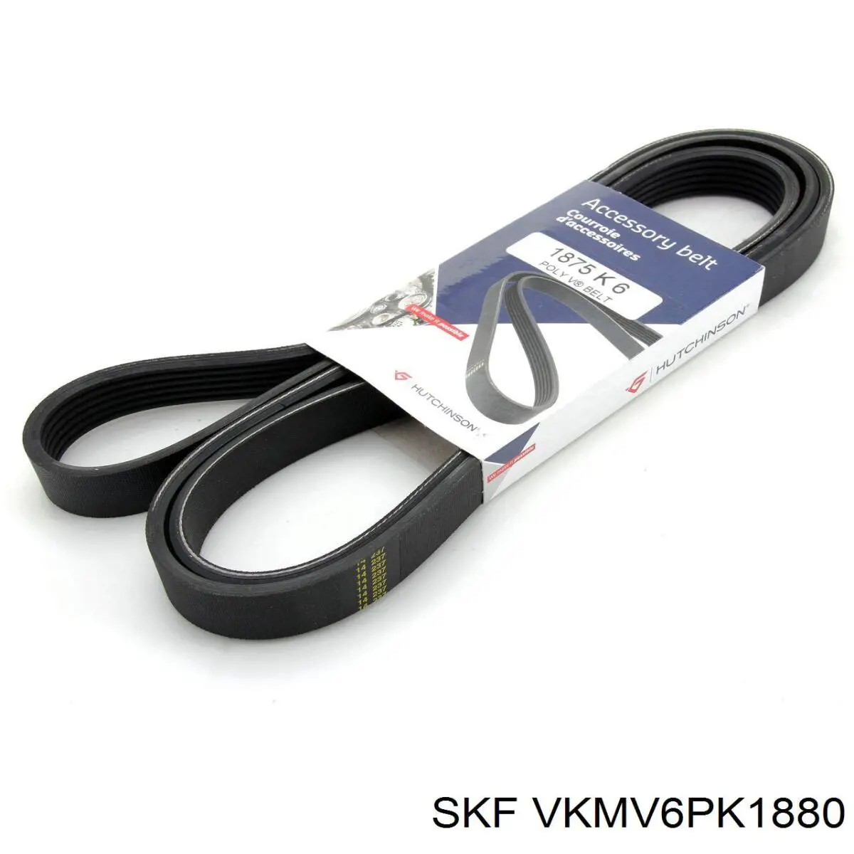 Compre VKMV6PK1880 SKF Correia dos conjuntos de transmissão