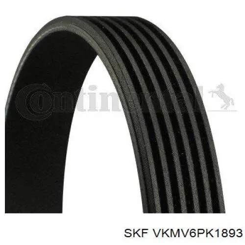 VKMV6PK1893 SKF Correia dos conjuntos de transmissão