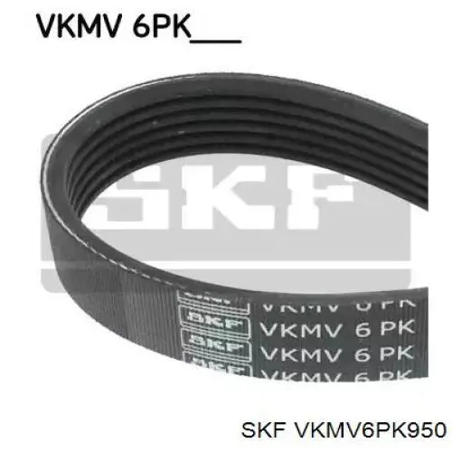 VKMV6PK950 SKF Correia dos conjuntos de transmissão