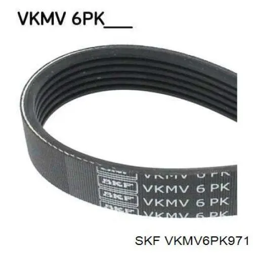 VKMV6PK971 SKF Correia dos conjuntos de transmissão