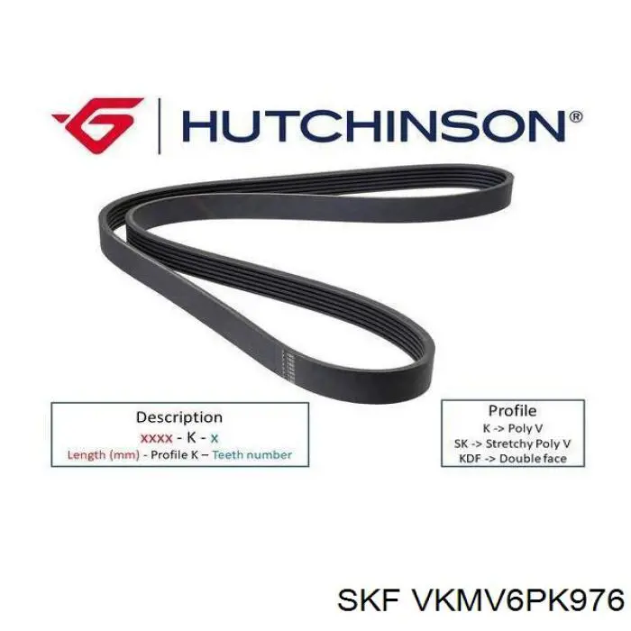 Compre VKMV6PK976 SKF Correia dos conjuntos de transmissão