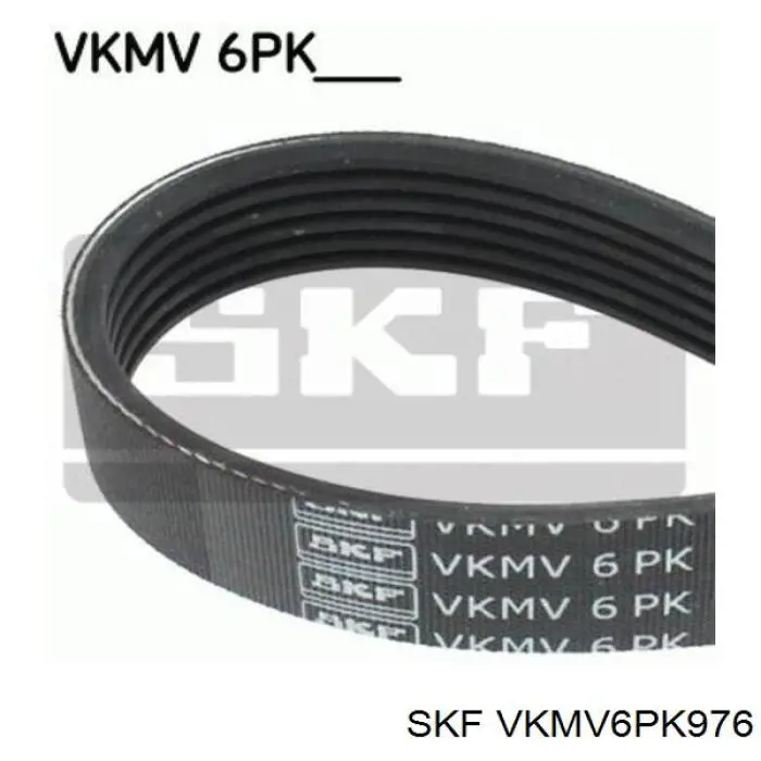 VKMV6PK976 SKF Correia dos conjuntos de transmissão