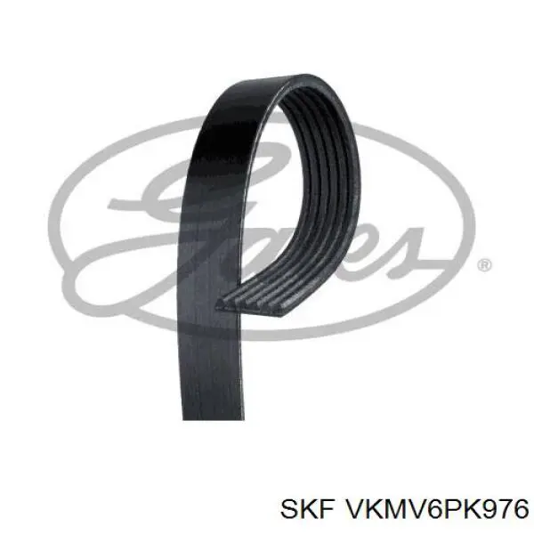 Correia dos conjuntos de transmissão SKF VKMV6PK976 preço, a partir de 15,03 USD