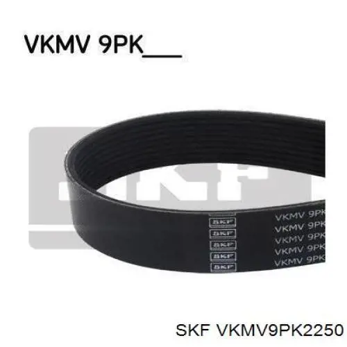 VKMV9PK2250 SKF Correia dos conjuntos de transmissão