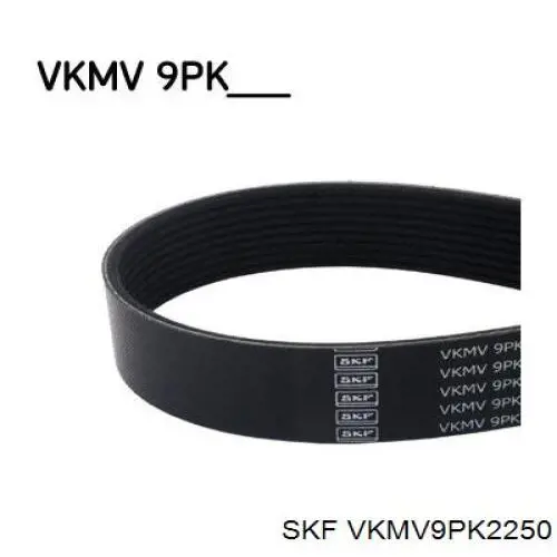 Correia dos conjuntos de transmissão SKF VKMV9PK2250 preço, a partir de 53,43 USD