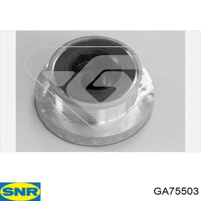 Compre GA75503 SNR Polia do gerador