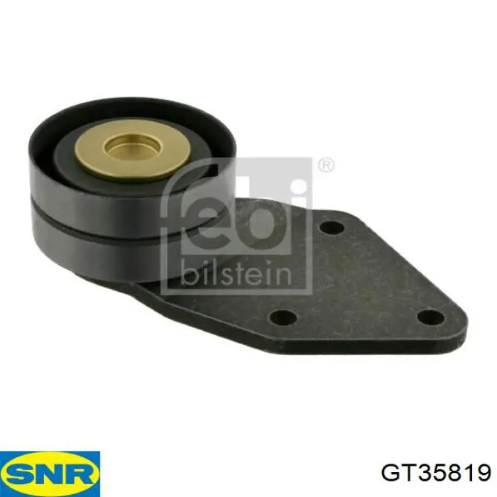 Compre GT35819 SNR Rolo parasita da correia do mecanismo de distribuição de gás