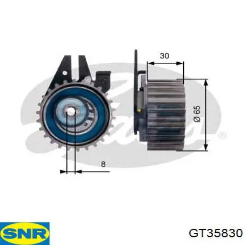 Compre GT35830 SNR Rolo de reguladora de tensão da correia do mecanismo de distribuição de gás