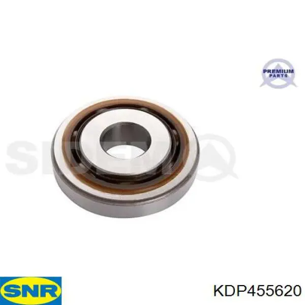 KDP455620 SNR Correia do mecanismo de distribuição de gás, kit