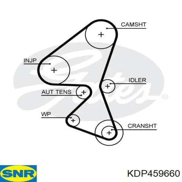 Correia do mecanismo de distribuição de gás, kit SNR KDP459660 preço, a partir de 133,14 USD