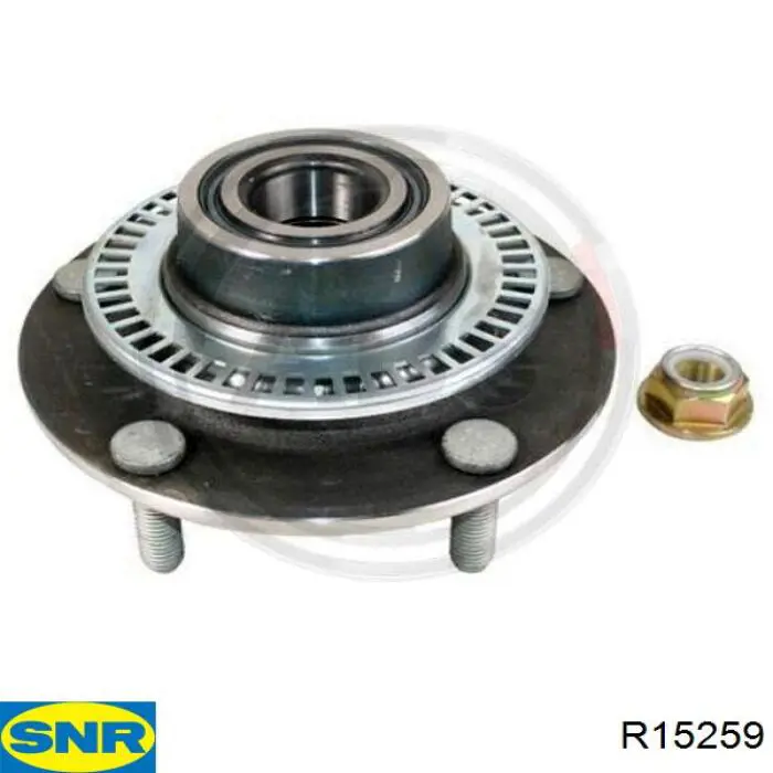 Compre R15259 SNR Cubo traseiro