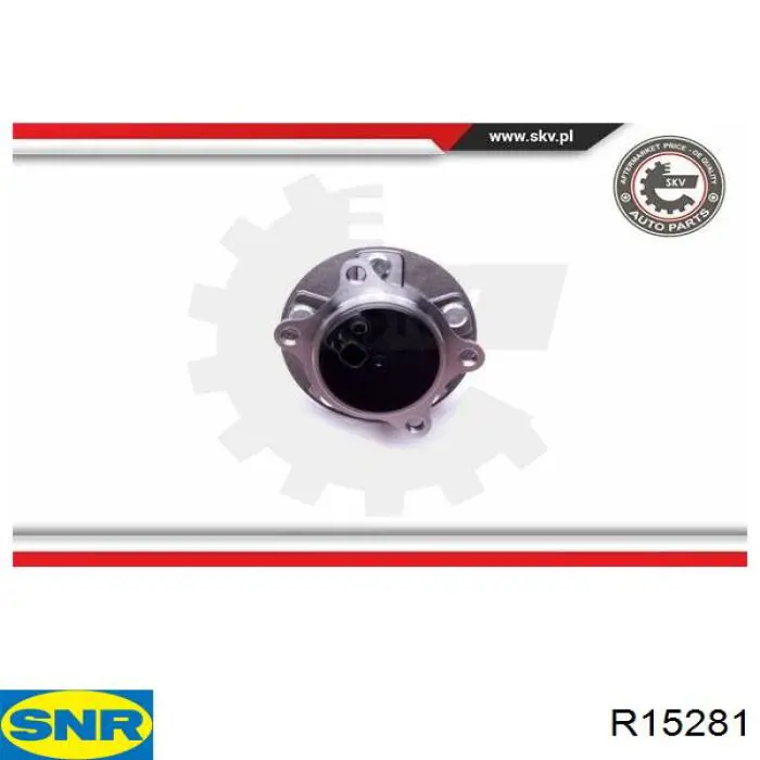 Compre R15281 SNR Cubo traseiro