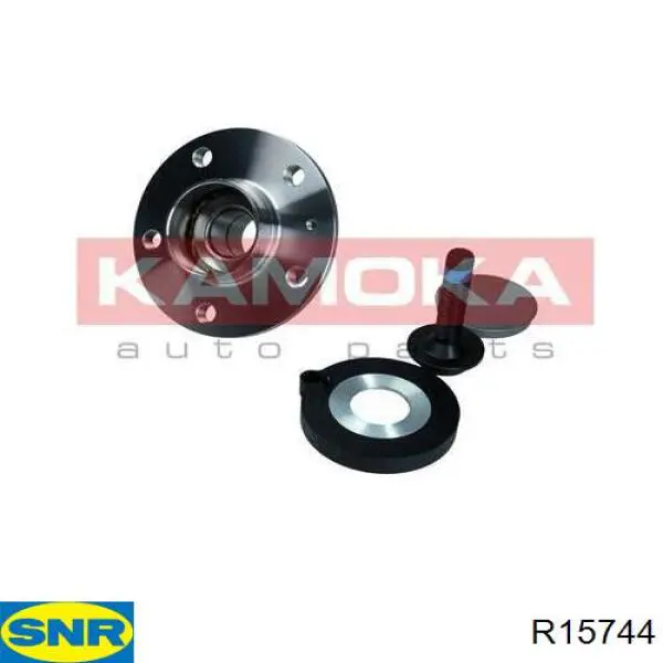 Compre R15744 SNR Cubo traseiro
