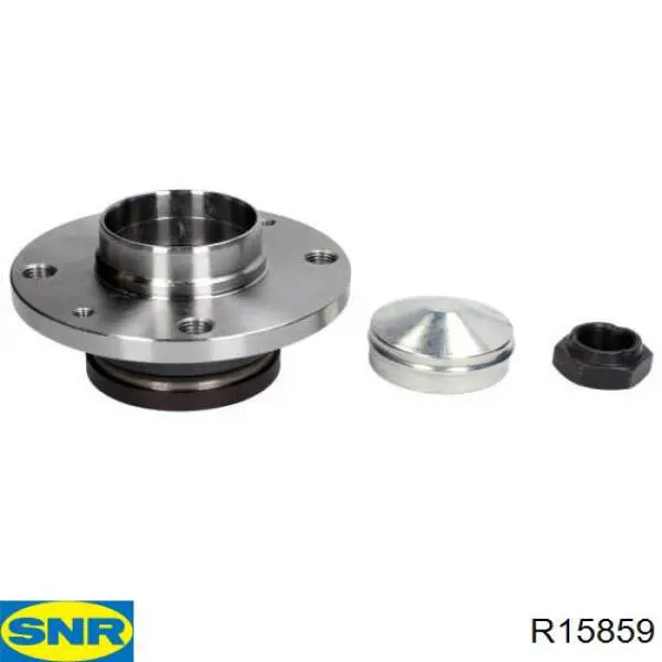 Compre R15859 SNR Cubo traseiro