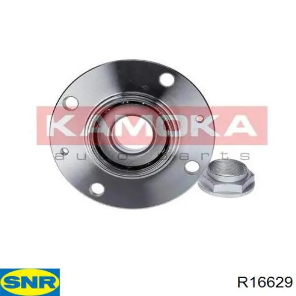 Compre R16629 SNR Cubo traseiro