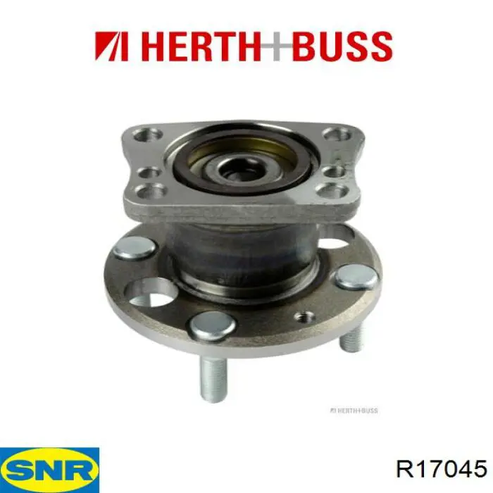 Compre R17045 SNR Cubo traseiro