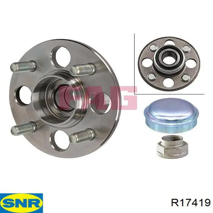 Compre R17419 SNR Cubo traseiro