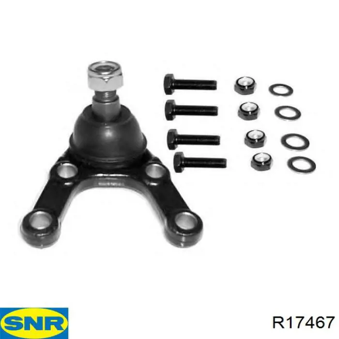Compre R17467 SNR Cubo traseiro