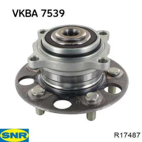 R17487 SNR Cubo traseiro