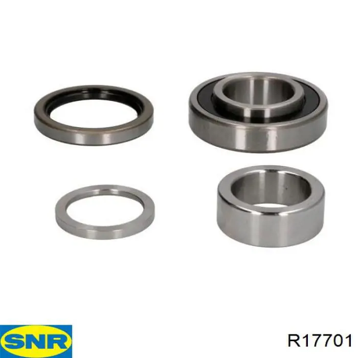 Compre R17701 SNR Rolamento de cubo traseiro