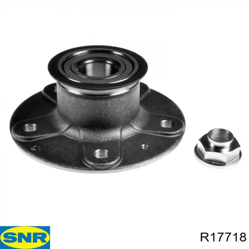 Compre R17718 SNR Cubo traseiro