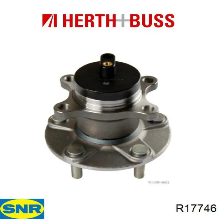 Compre R17746 SNR Cubo traseiro