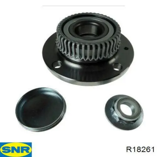 Compre R18261 SNR Cubo traseiro