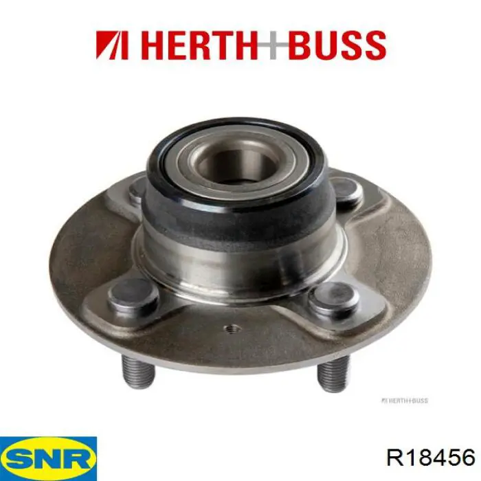 Compre R18456 SNR Cubo traseiro