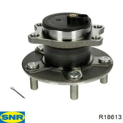 Cubo traseiro SNR R18613 preço, a partir de 106,29 USD