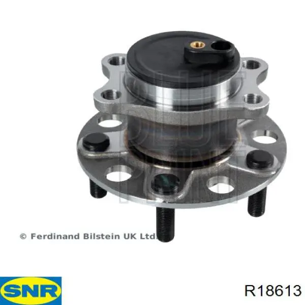 Compre R18613 SNR Cubo traseiro