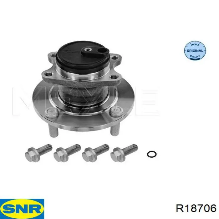 Compre R18706 SNR Cubo traseiro